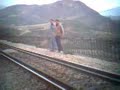 STOP That Train ! ! !