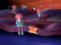Systemic Enzymes, Asthma and Serrapeptase