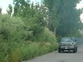 Cummins aurora 3000
