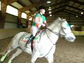 Connemara pony Simon Jumping