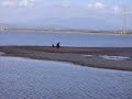 SARDEGNA del SUD OVEST.Laguna di S.Antioco