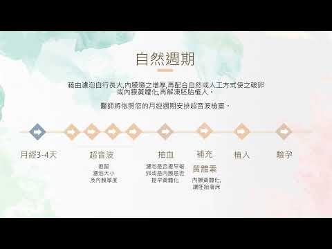 一次讓你了解解凍胚胎植入療程