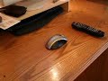 Testing Anaimation - Mouse Hits Wall Testing Anaimation - Mouse Hits Wall