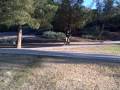 videos de Another..Random Montage