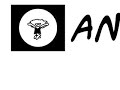 Annemie turtelboom & Mode