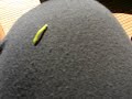 Wormy