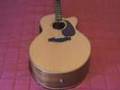 My Guitar Collection - Dean Haitani