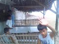 ping pong ping pong
