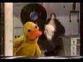 Mas de Carozo y Narizota en las mañanas del 9