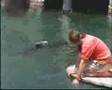 Dolphin Reef Eilat_V1.1