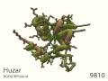 videos de 81: Calcium Ion Binding Protein
