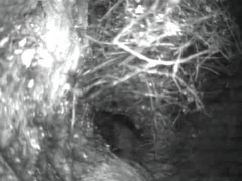 how to snake a vent stack