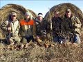 pheasants everywhere!  South Dakota hunting