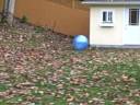 VID00054.AVI VID00054.AVI