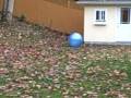 VID00054.AVI