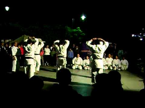 Exhibicion de Artes Marciales - Karate Shotokan