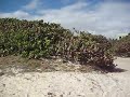 Orient Beach, St. Martin FWI
