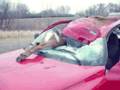 DEER HUNTING NIGHTMARE(DEERS GONE CRAZY)