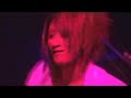 WIZARD - Masumi Strips