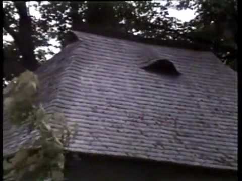 youtube- Ileana Laceanu Medalion 1.mp4