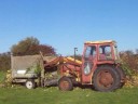 MF135 unloads branches from trailer