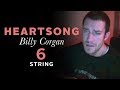 heartsong - zwan - billy corgan - acoustic cover