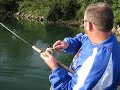 Salmon Kickin\