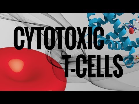how to get more killer t cells