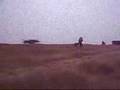 Dil Chahta Hai - The Vizag Way