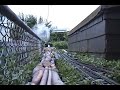 Live Steam Shay Log Train Ride Live Steam Shay Log Train Ride