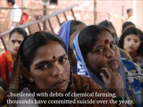 See video