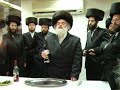 R. Mendel of Viznitz Shlita