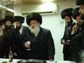 R. Mendel of Viznitz Shlita