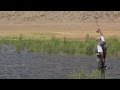 Carp Fishing Isabella Lake