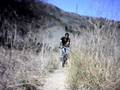 videos de bertin