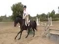 videos de Chantal and Gyro