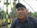 Rumah Nor: Sebuah Ujian Hak Milik Tanah bagi Malaysia