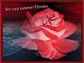 Beyaz Dilekce - Mehmet Emin Ay Beyaz Dilekce - Mehmet Emin Ay