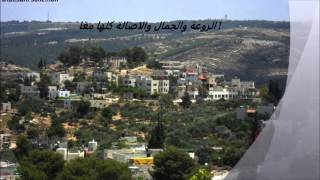 الجبعة - بيت لحم 1