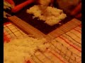 Sushi Party rue D�sir�e