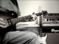 Collings 290, Naylor SD60, drop D