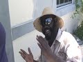 ti gewof haitian migit ti gewof haitian migit