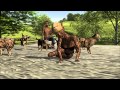 https://www.youtube.com/watch?v=g1Og5Tg_Jyo
