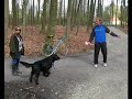 vrijwilligers Furaloop Tervuren Furalopers vrijwilligers Furaloop Tervuren Furalopers