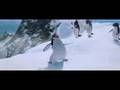 s�per oldu arkaa�lar b izileyin �ilgin penguen