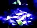 josh groban in manila   i was there