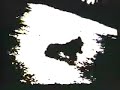 teledysk, klip, Dinosaur Jr.,- No Bones