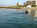 taho à la plage 1