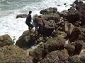Shark Caught at Vero beach, Flordia
