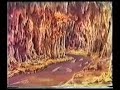 فلونه الجميله